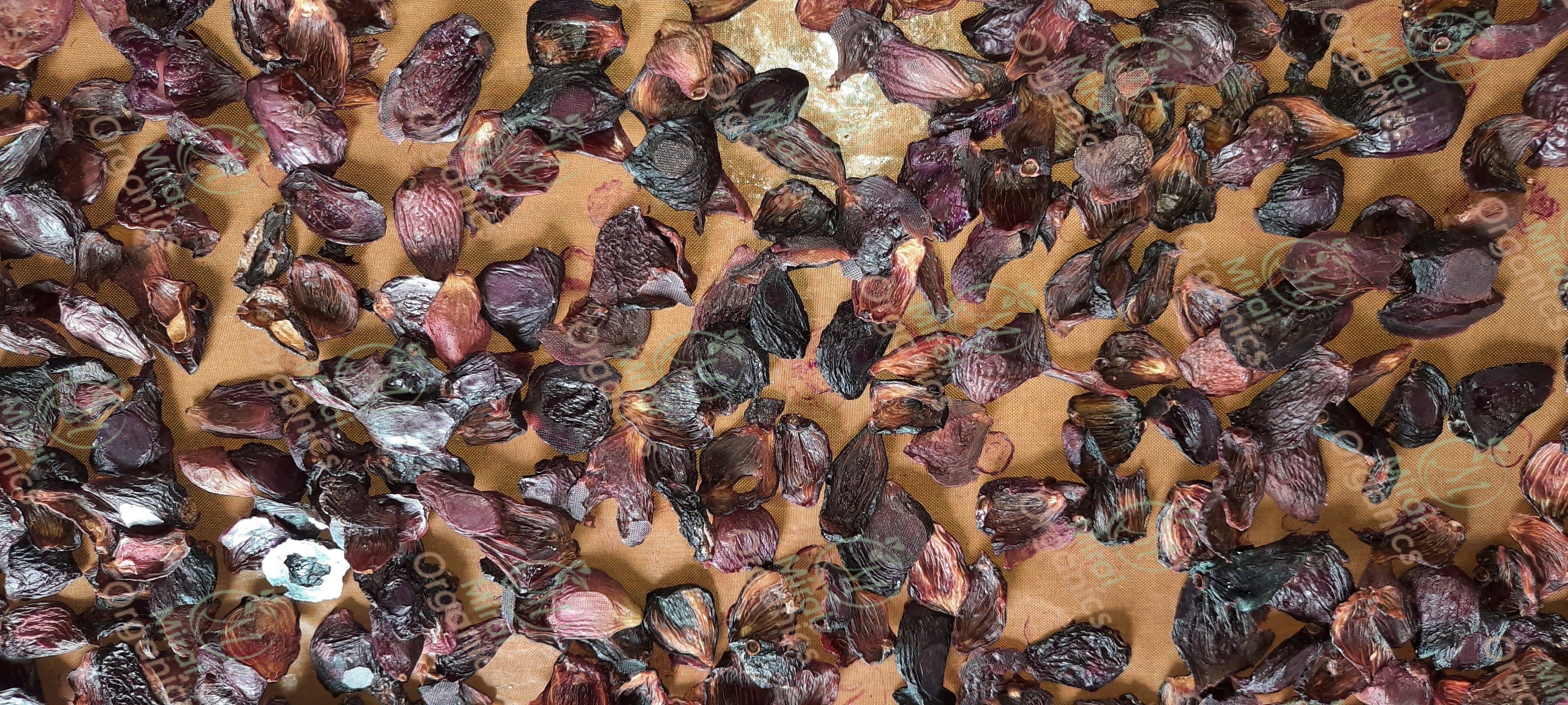 Dehydrated jamun (Java plum) slices without added sugar